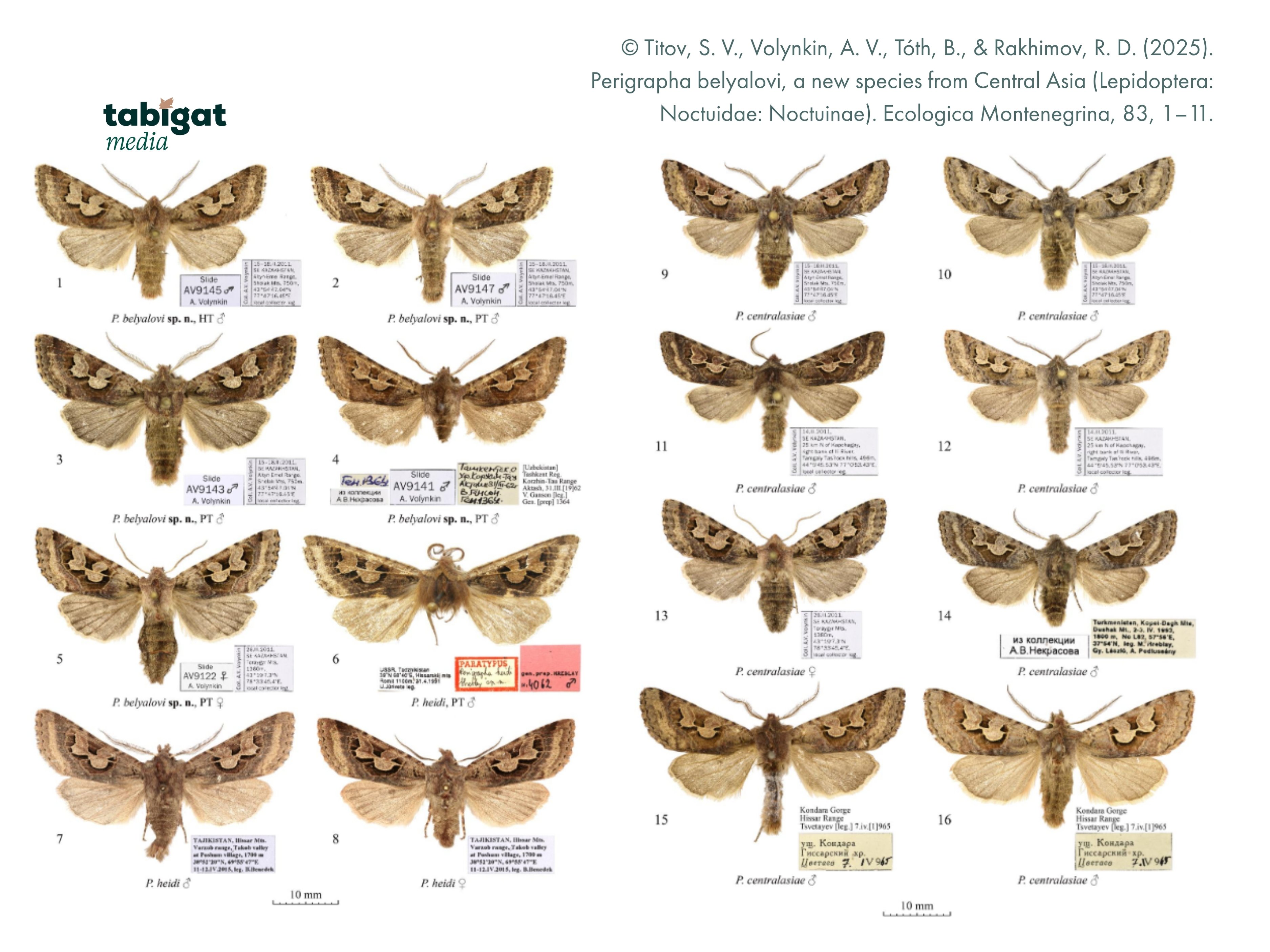 Ерлі-зайыптылардың үйі